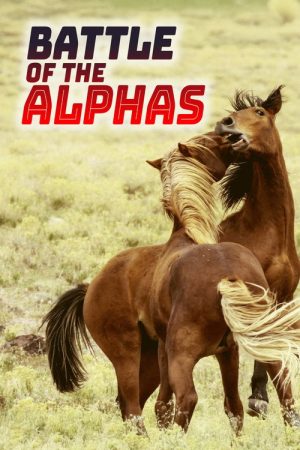 Battle of the Alphas (2022) poster