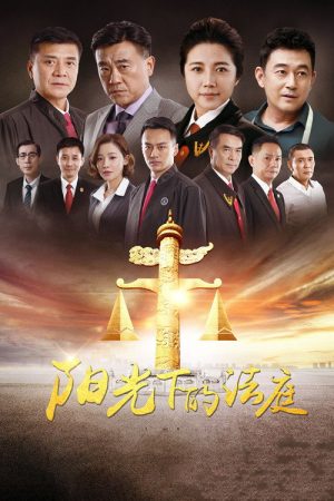 阳光下的法庭 (2018) poster