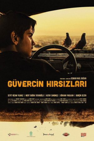 The Pigeon Thieves (2018) poster