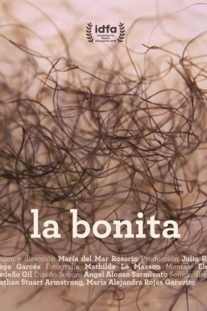 La bonita (2018) poster