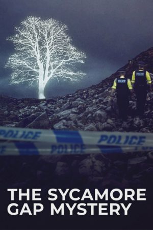 The Sycamore Gap Mystery (2025) poster