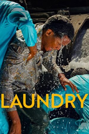 Laundry (2026) poster