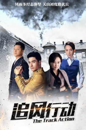 追风行动 (2018) poster