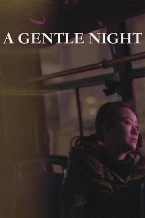 A Gentle Night (2018) poster
