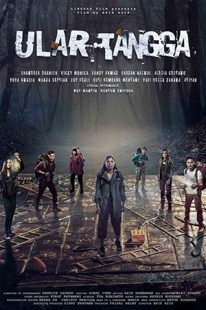 Snakes & Ladder (2017) poster