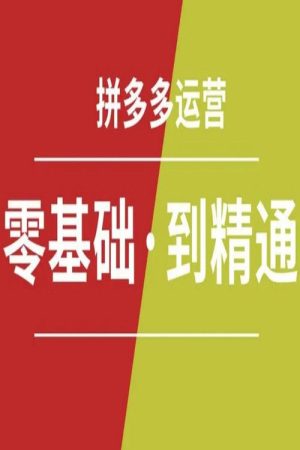 拼多多赚钱全攻略 (2018) poster