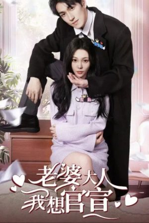 老婆大人我想官宣 (2025) poster