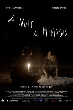 La nuit des mimosas (2025) poster
