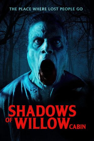 Shadows of Willow Cabin (2025) poster
