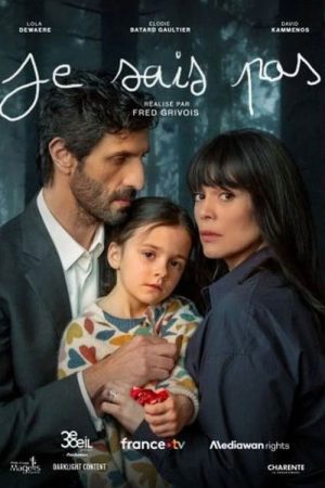 Je sais pas (2025) poster