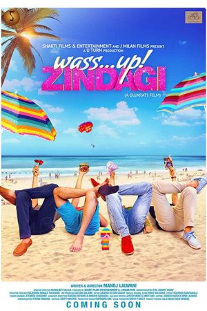 Wassup! Zindagi (2017) poster