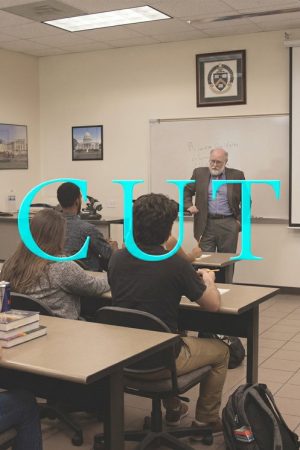 Cut (2017) poster