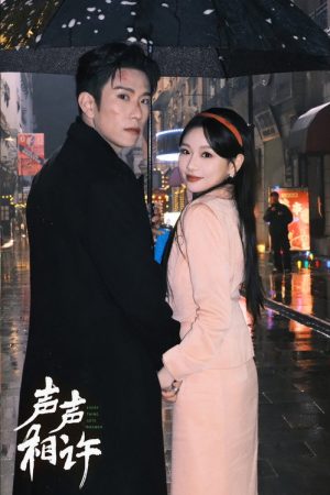 声声相许 (2025) poster