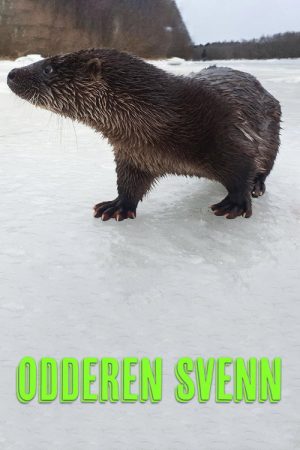 Oteren Svenn (2021) poster