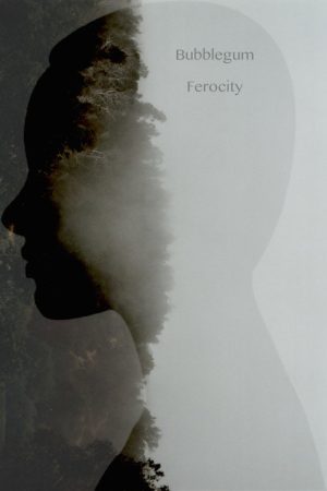 Bubblegum Ferocity (2017) poster