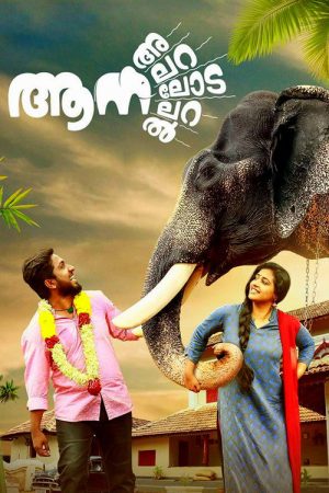 Aana Alaralodalaral (2017) poster