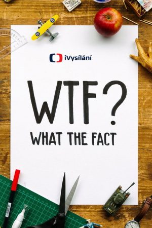 What the Fact (2023) poster
