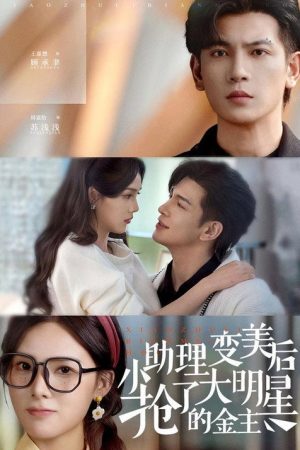 小助理变美后，抢了大明星的金主 (2025) poster