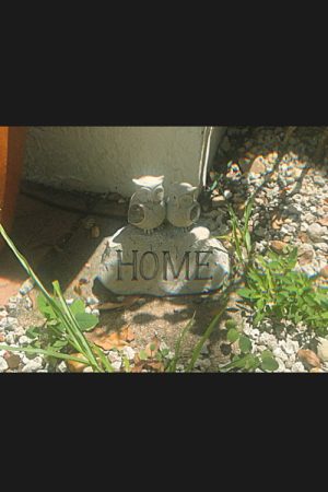 HOME.mp4 (2026) poster