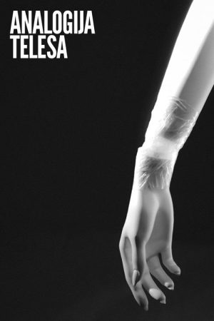 Analogy of a Body (2024) poster
