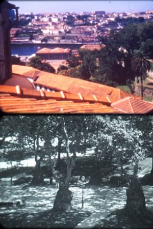 Porto Landscape (2019) poster