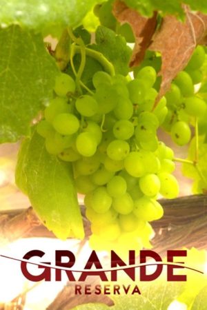 Grande Reserva (2021) poster