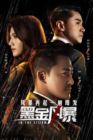 In the Storm (2022) poster