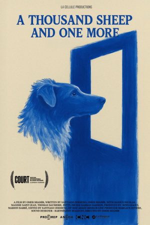 A Thousand Sheep and One More (2025) poster