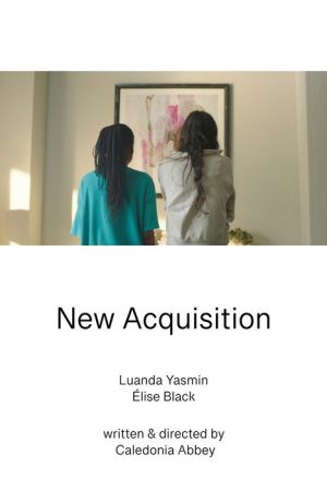 New Acquisition (2025) poster