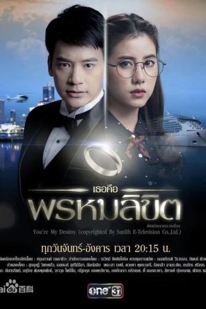 You’re My Destiny (2017) poster