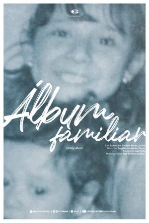 Family album (2025) poster