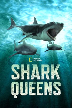 Shark Queens (2022) poster