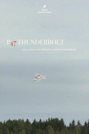 P47 Thunderbolt (2016) poster
