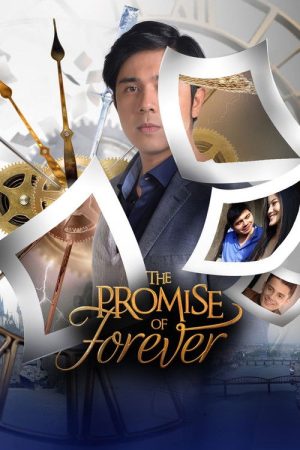 The Promise of Forever (2017) poster