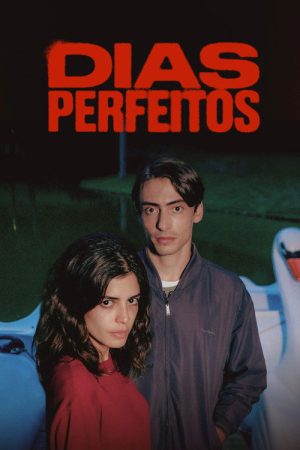 Perfect Days (2025) poster