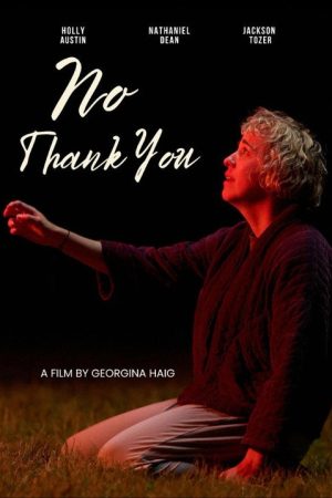 No Thank You (2026) poster