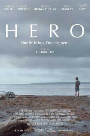 Hero (2018) poster