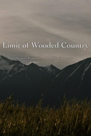 Limit of Wooded Country (2018) poster