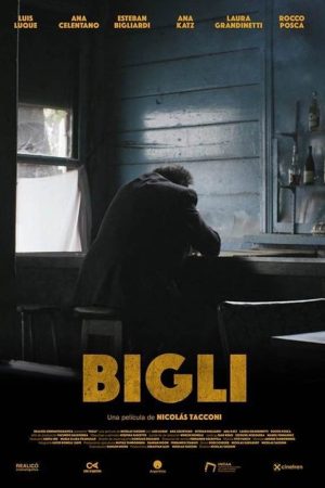 Bigli (2021) poster