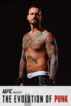 The Evolution of Punk (2016) poster
