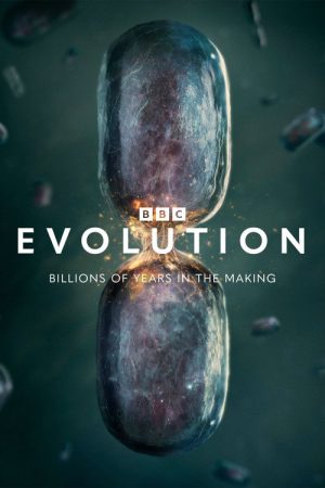 Evolution (2026) poster