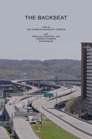 The Backseat (2017) poster