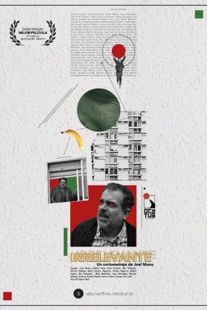 Irrelevante (2025) poster