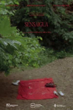 Sensaigua (2026) poster