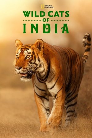 Wild Cats of India (2020) poster