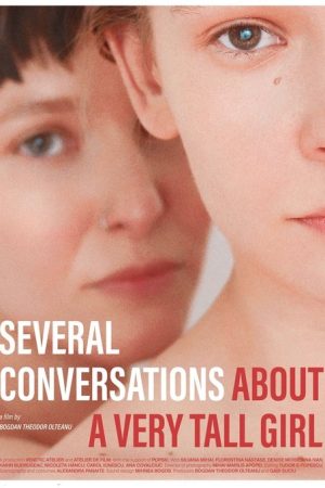 Several Conversations About a Very Tall Girl (2018) poster