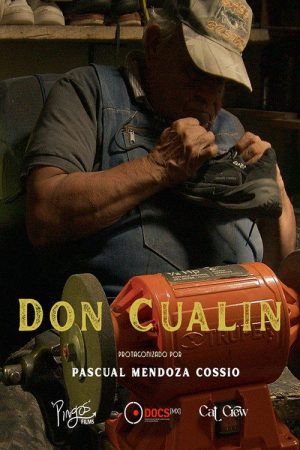 Don Cualin, a Brief Truth (2025) poster