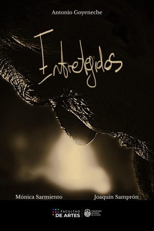 Entretejidos (2024) poster