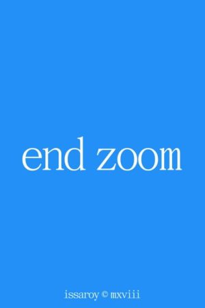 End Zoom (2020) poster