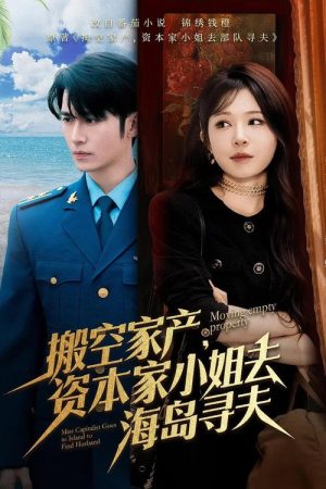 搬空家产，资本家大小姐去海岛寻夫 (2025) poster